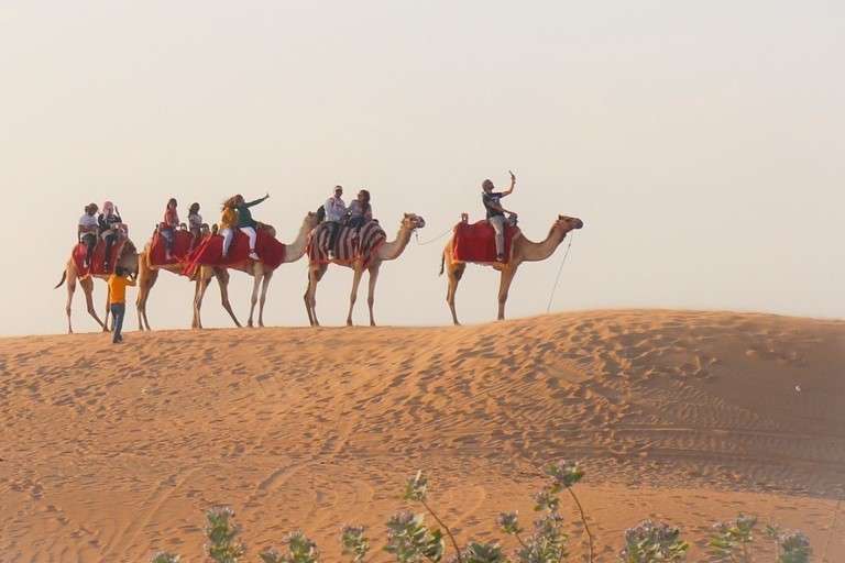 Premier site for desert safari in Dubai, evening desert safari.