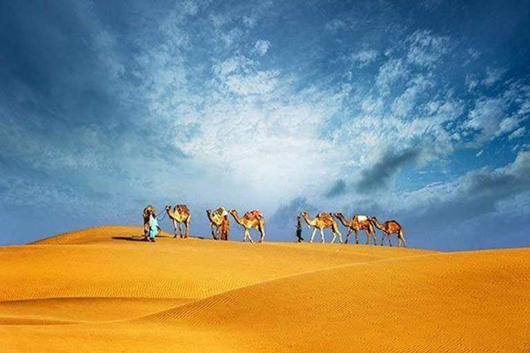 Explorer the beauty of Desert while morning desert safari.
